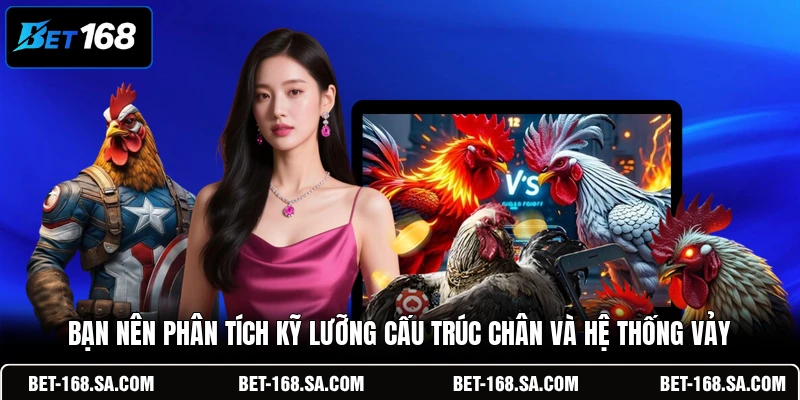 Bạn nên phân tích kỹ lưỡng cấu trúc chân và hệ thống vảy