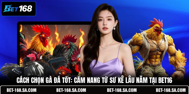 Cách Chọn Gà Đá Tốt