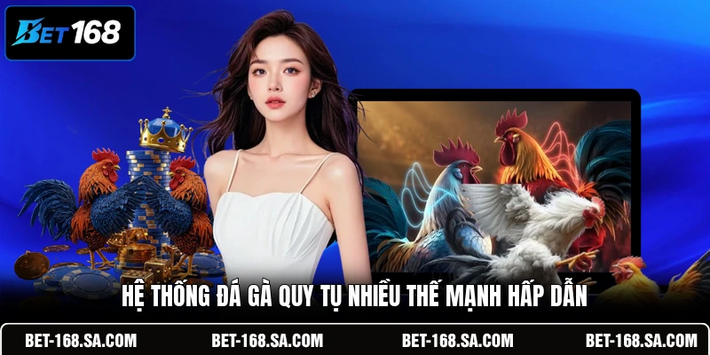 Hệ thống đá gà quy tụ nhiều thế mạnh hấp dẫn