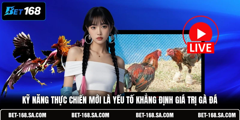 Kỹ năng thực chiến mới là yếu tố khẳng định giá trị gà đá